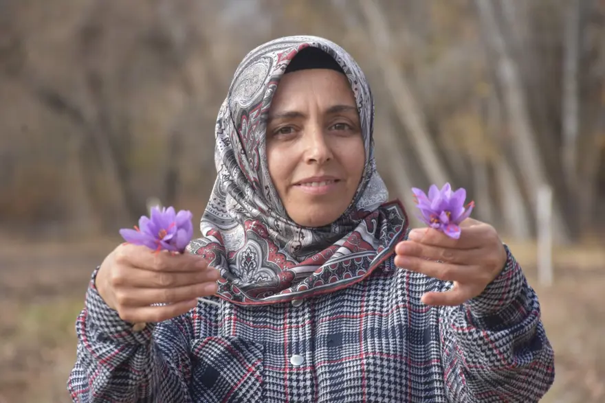 Dünyanın en pahalı baharatı! Yılda bir kez açıyor, tümöre iyi geldiği söyleniyor... Eşine alamamıştı, şimdi üreticisi oldu 2