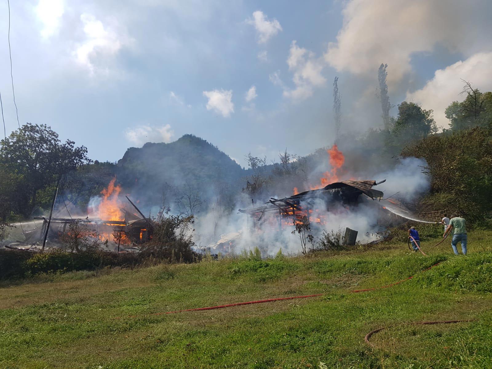 Artvin'deki yangında iki ev kullanılmaz hale geldi
