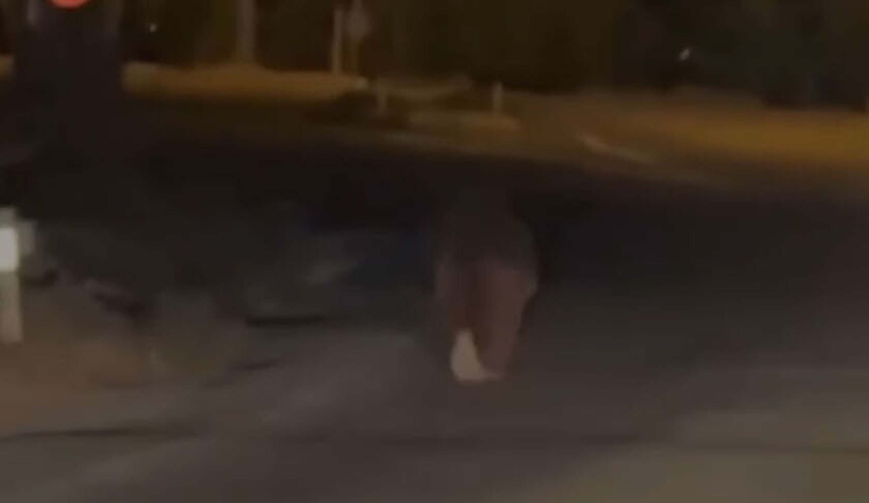 Evinin balkonunda uyurken ayının saldırısına uğrayan kişi öldü