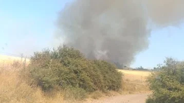 Çanakkale Ezine'de orman yangını. Ekipler müdahale ediyor