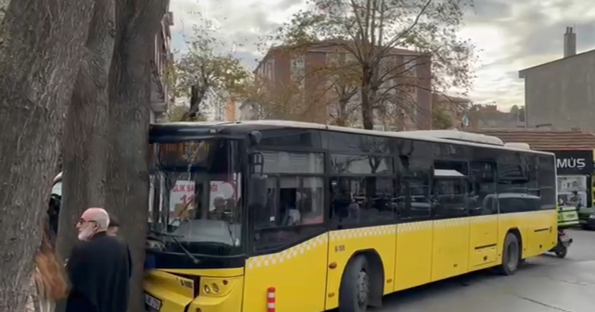 Bağcılar'da İETT otobüsü ağaca çarptı