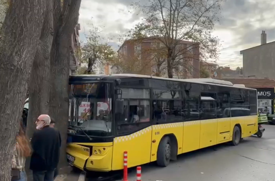 Bağcılar'da İETT otobüsü ağaca çarptı