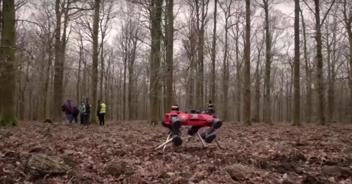 Ormanlarda görev yapan robot köpek