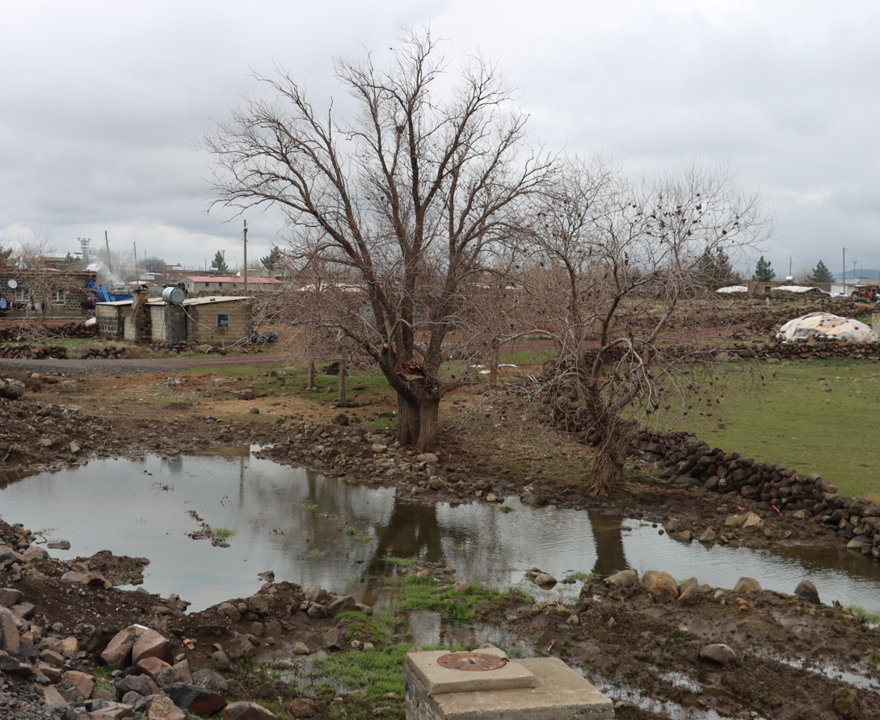 BEREKETLİ MAHSUL BEKLENİYOR 1 BEREKETLİ MAHSUL BEKLENİYOR 1