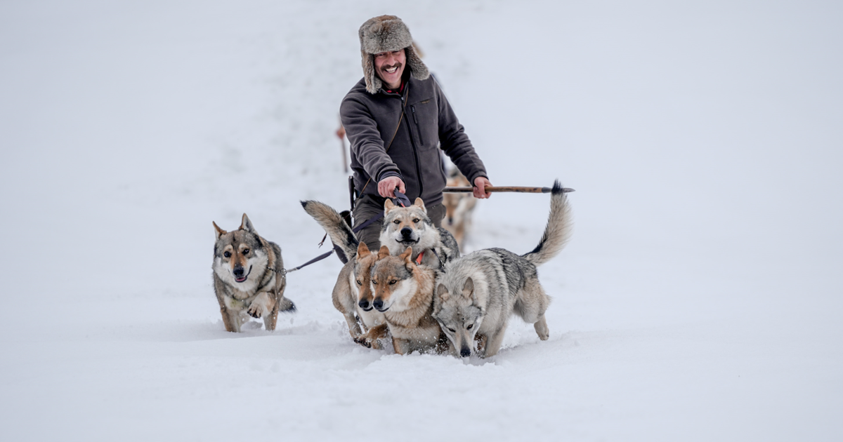 Türkiye'nin ilk yasal şahin üreticisi. Hayvanlarıyla Türk geleneğini yaşatıyor