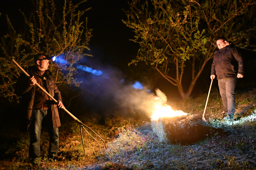 Sıfırın altında zirai don nöbeti 4