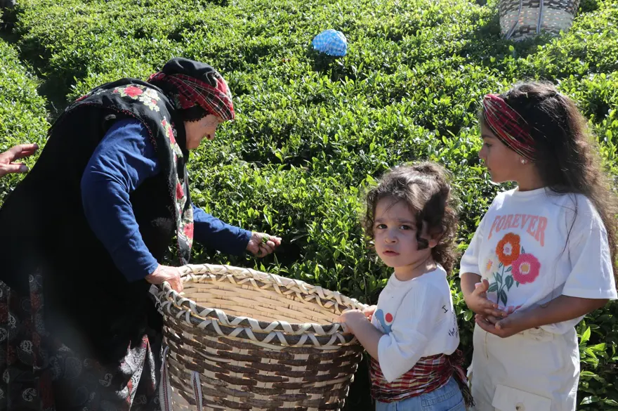 Hasadı 10 gün gecikti. İşçilerin günlük yevmiyesi 3 bin TL 3