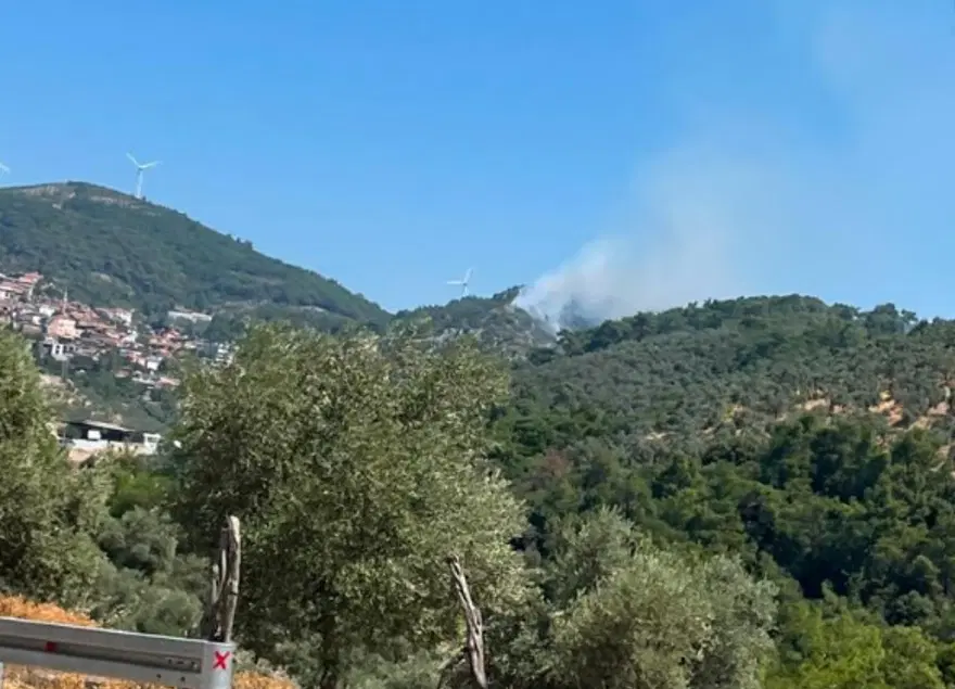 Aydın