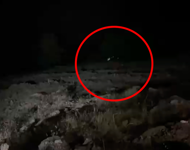 Hafif ticari araç uçuruma yuvarlandı. 4 kişi öldü, 5 yaralı var