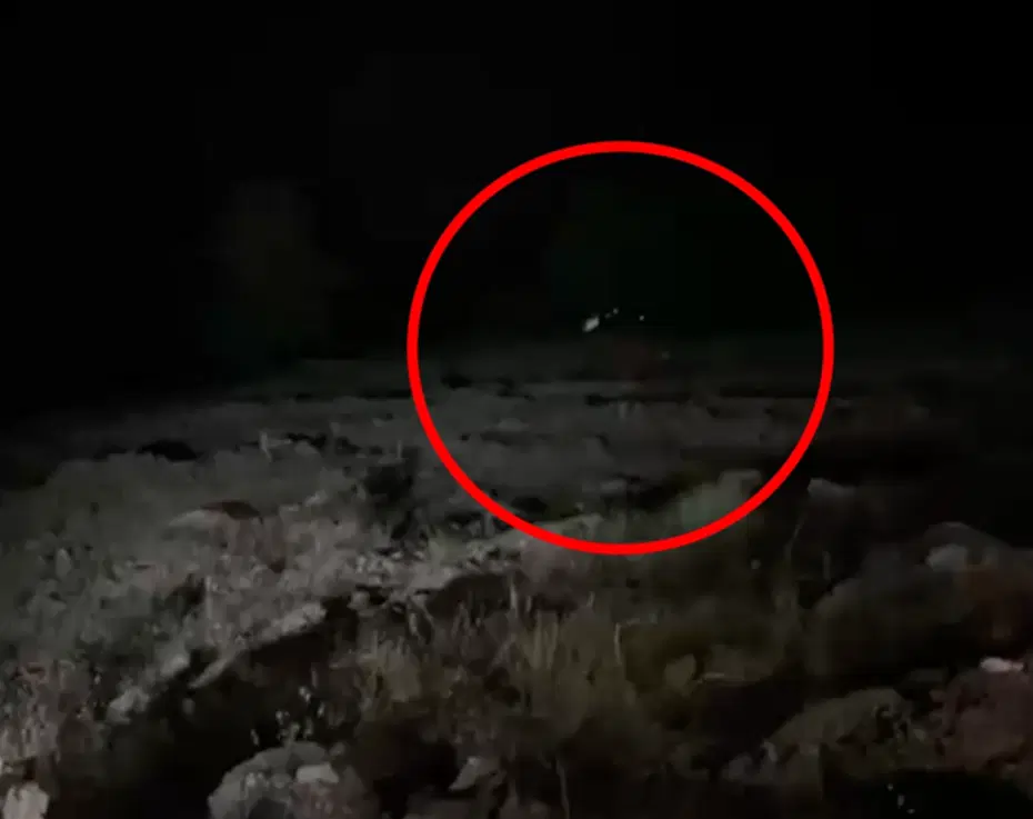 Hafif ticari araç uçuruma yuvarlandı. 4 kişi öldü, 5 yaralı var