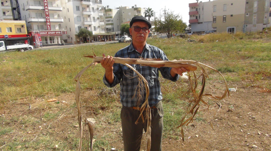 Mersin’de bir kişi, hisleriyle yer altı su kaynaklarını bulabiliyor  2