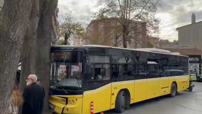 Bağcılar'da İETT otobüsü ağaca çarptı