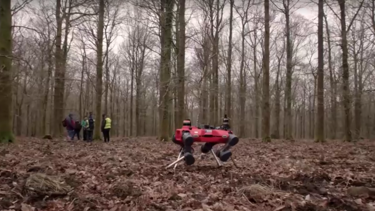 Robot köpek ormanlarda görevde gerisini kurtlar düşünsün