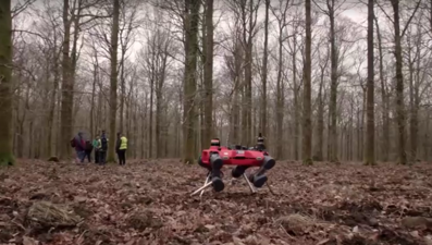 Robot köpek ormanlarda görevde gerisini kurtlar düşünsün