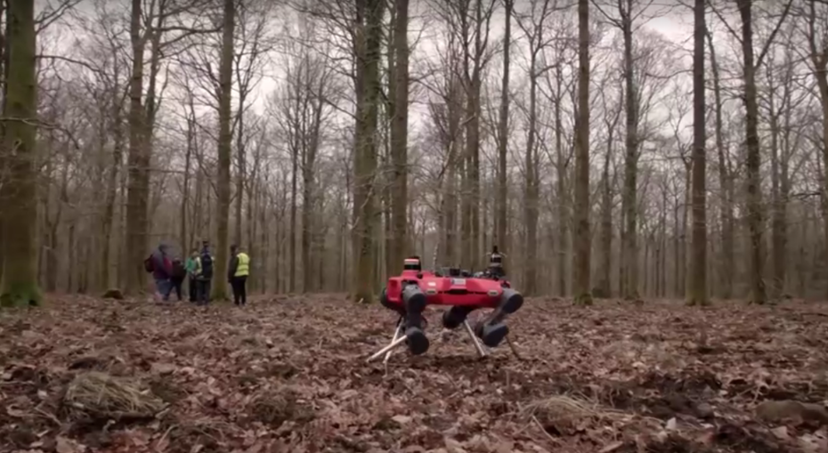 Robot köpek ormanlarda görevde gerisini kurtlar düşünsün