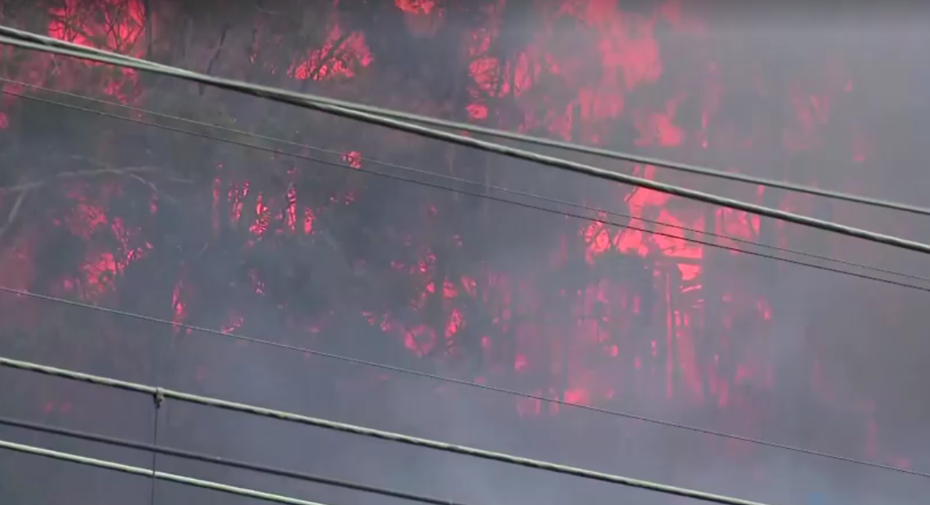 Avustralya'da 50'den fazla orman yangını çıktı