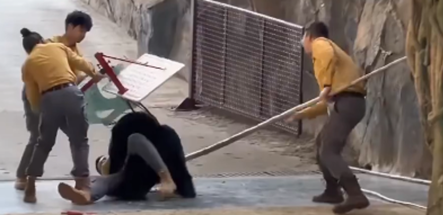 BASKETBOL POTASIYLA MÜDAHALE  1