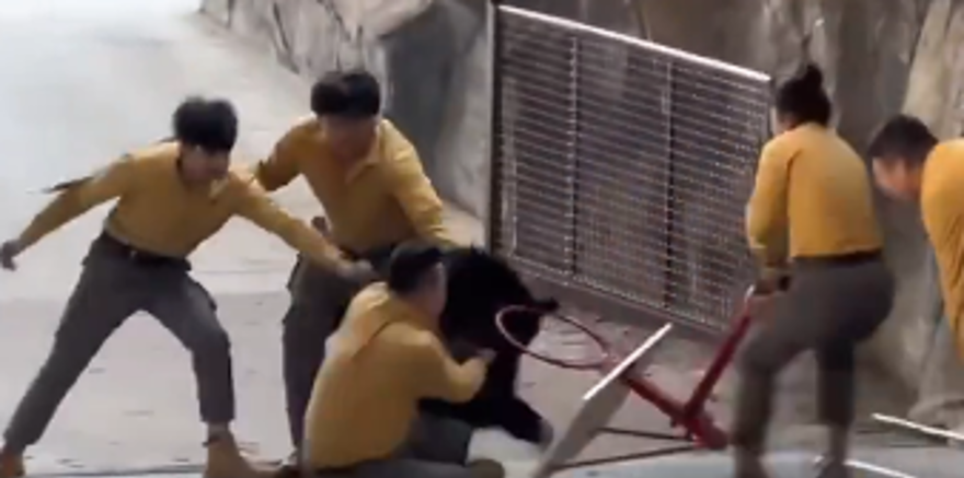 AYININ YİYECEK HEYCANI 