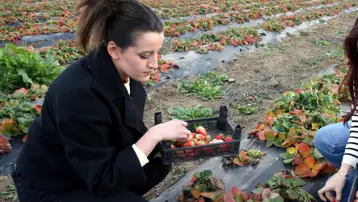 Hobi amaçlı başlamıştı, şimdi siparişlere yetişemiyor. İlk sene 4 ton ürün aldı