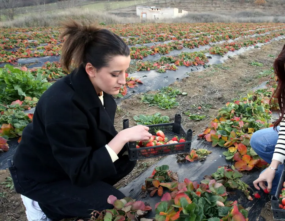 Hobi amaçlı başlamıştı, şimdi siparişlere yetişemiyor. İlk sene 4 ton ürün aldı