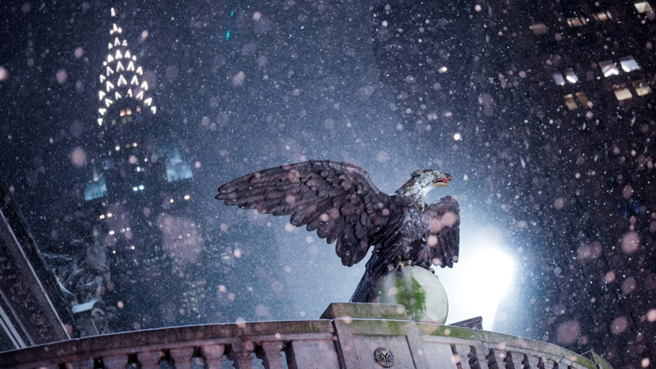 New York üç yılın en yoğun kar yağışıyla beyaza büründü