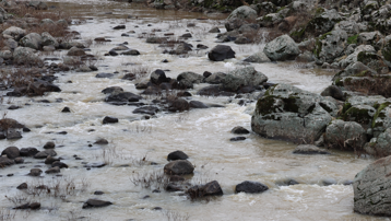 Yağışlar etkisini gösterdi. Kuraklığın simgesi haline gelen çay akmaya başladı