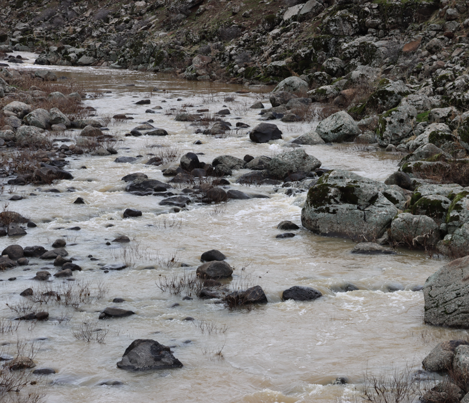 Yağışlar etkisini gösterdi. Kuraklığın simgesi haline gelen çay akmaya başladı