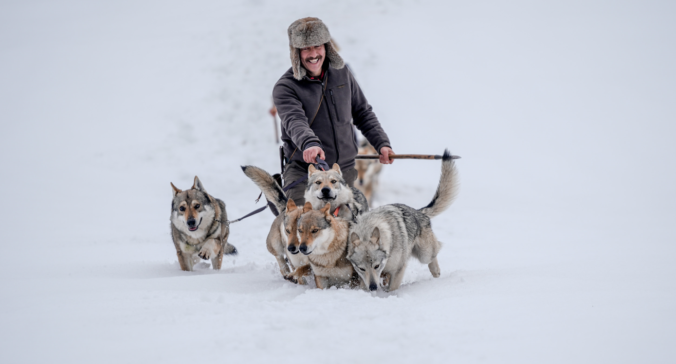 Türkiye'nin ilk yasal şahin üreticisi. Hayvanlarıyla Türk geleneğini yaşatıyor