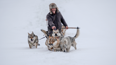 Türkiye'nin ilk yasal şahin üreticisi. Hayvanlarıyla Türk geleneğini yaşatıyor