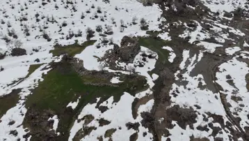 3 bin yıllık oldukları tahmin ediliyor. Karlar eriyince gün yüzüne çıktı