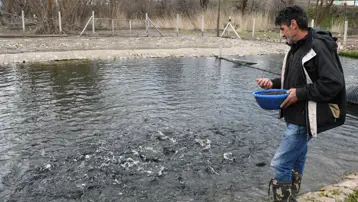 Kaynak suyunda yetişiyor. Kilosu 300 liraya alıcı buluyor