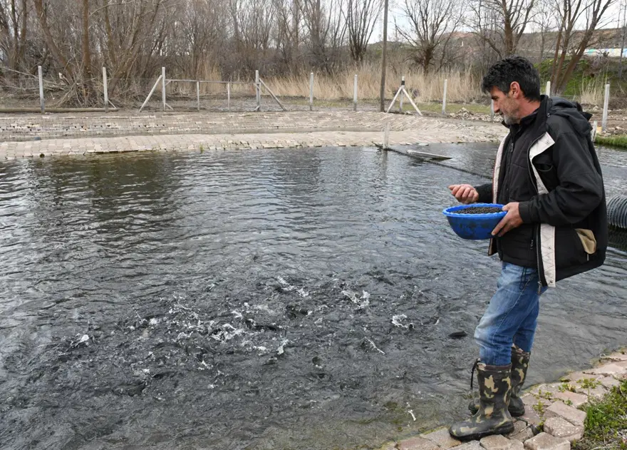 Kaynak suyunda yetişiyor. Kilosu 300 liraya alıcı buluyor 2 Kaynak suyunda yetişiyor. Kilosu 300 liraya alıcı buluyor 2