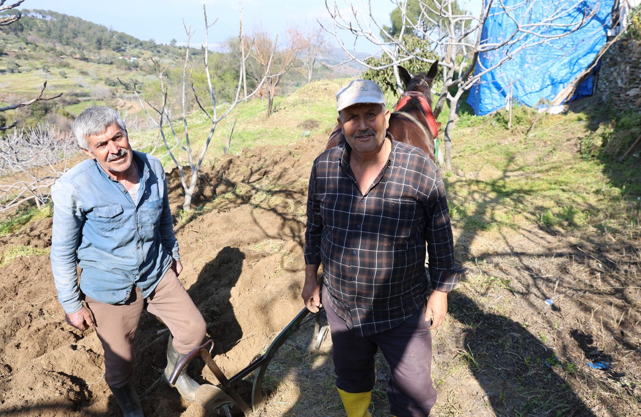 Bu köyün en genci 50 yaşında. ''İş başa düştü'' diyerek kolları sıvadılar