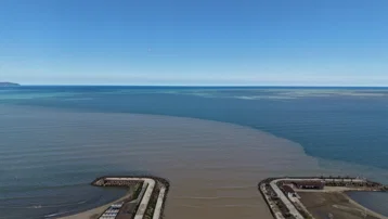 Ordu'da deniz kahverengiye döndü