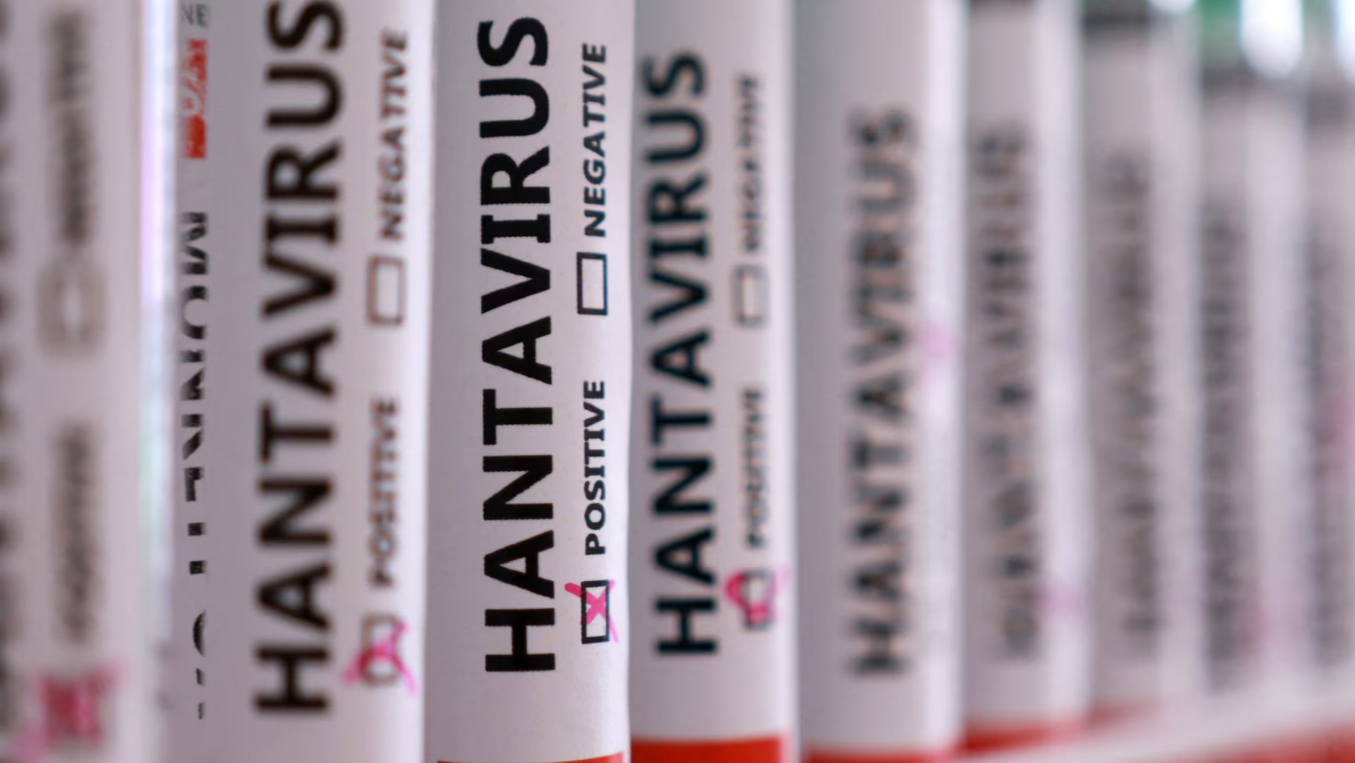 Hantavirüste hangi meslekler daha fazla risk altında?