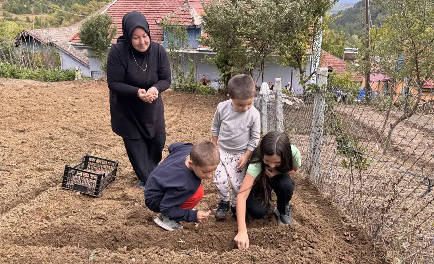 Özel izinle yetiştiriliyor. 3 dönümlük araziye ekti, 600 kilo ürün elde etti Özel izinle yetiştiriliyor. 3 dönümlük araziye ekti, 600 kilo ürün elde etti