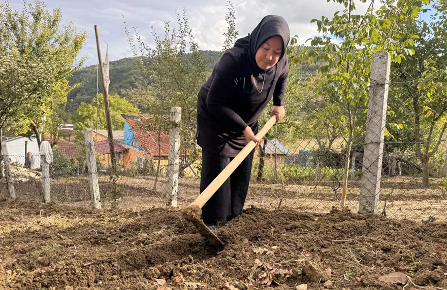 Özel izinle yetiştiriliyor. 3 dönümlük araziye ekti, 600 kilo ürün elde etti 1 Özel izinle yetiştiriliyor. 3 dönümlük araziye ekti, 600 kilo ürün elde etti 1