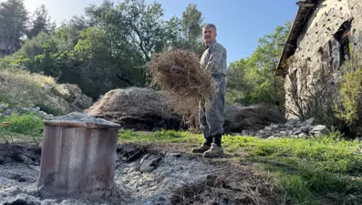 Toroslar'dan topluyor, evinin bahçesinde pişiriyor. 81 ilden talep var