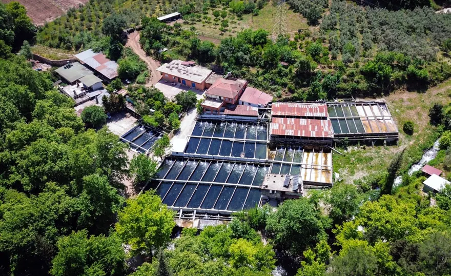 İŞLETMELERE SATIŞ YAPMAYA BAŞLADI İŞLETMELERE SATIŞ YAPMAYA BAŞLADI