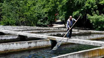 İlk başta kimse ciddiye almadı, sonra herkesi haksız çıkardı. Şimdi 80 ton üretim yapıyor