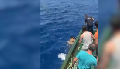 Türk balıkçılar 48 göçmeni kurtardı. Balıkçılar yaşananları NTV'ye anlattıTürk balıkçılar Malta açıklarında balık ararken sonar cihazından aldıkları sinyali takip ettiklerinde sinyalin balıklardan değil denizde çırpınan insanlardan geldiğini fark ettiler. Sonra müthiş bir mücadele başladı. Denizden