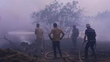 Kula'da orman yangını. 10 hektar alan zarar gördü