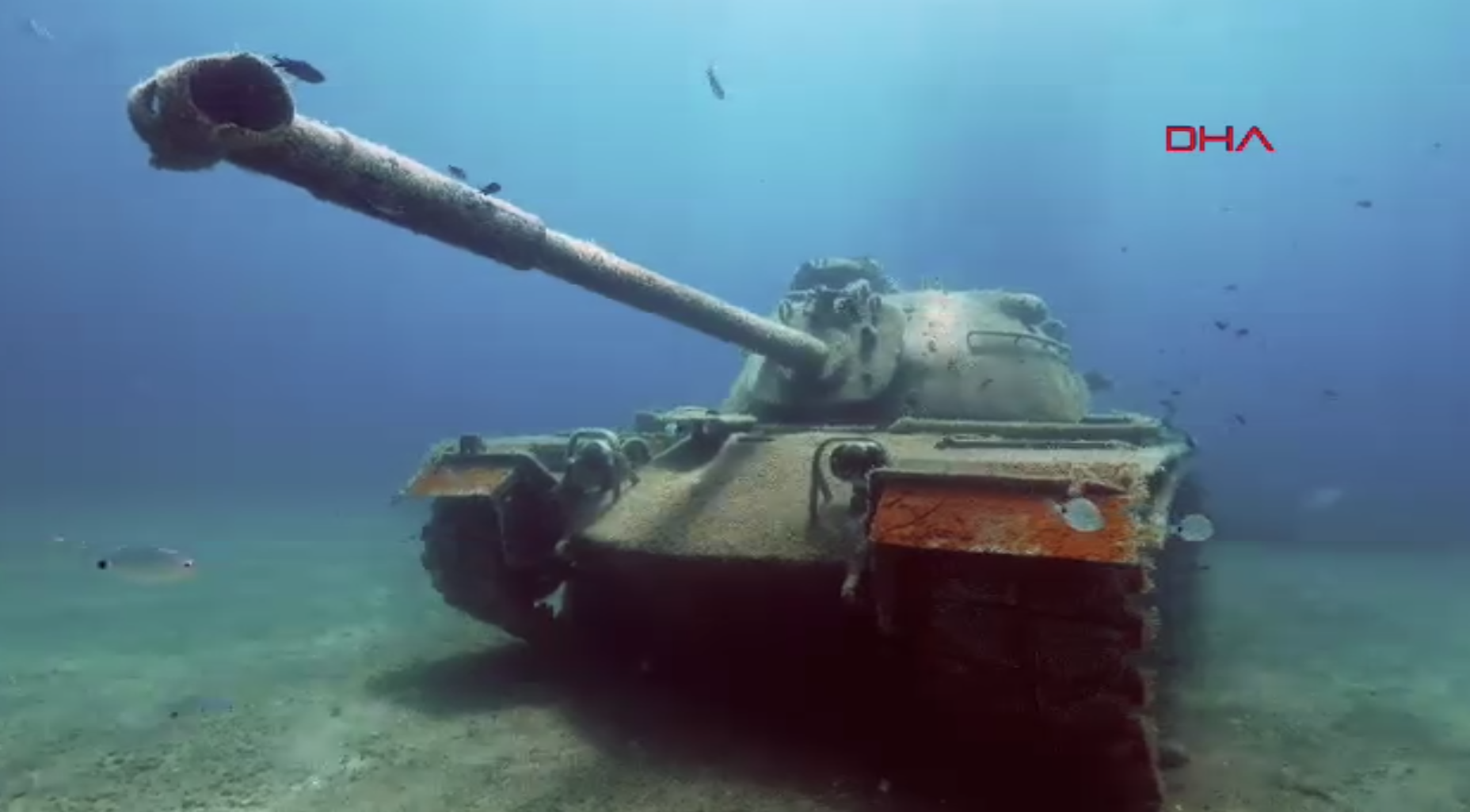 Saros’ta su altındaki tank dalış tutkunlarının gözdesi oldu