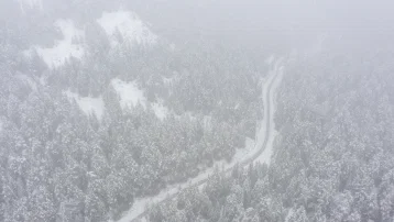 Bolu'nun yüksek kesimlerinde lapa lapa kar. Kartalkaya beyaza büründü