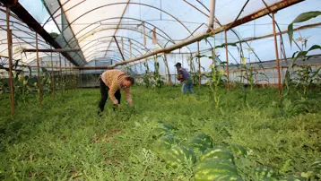 Fiyatından önce tadına bakılıyor, 1 ay içinde tükeniyor
