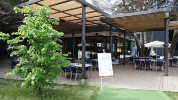 Bu yaz ailelerin yeni buluşma noktası: Family Club