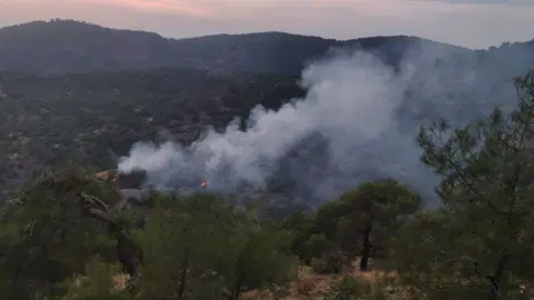 Gaziantep'te orman yangını: 4 dönüm alan zarar gördü | Hatay Masası | Haberler analizi