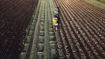 Gaziantep’te hasadı başladı: Kilosu 52 liradan başlıyor