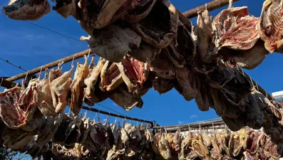 Önce tuzlanıyor, sonra kurutuluyor. Lezzeti sınırları aştı