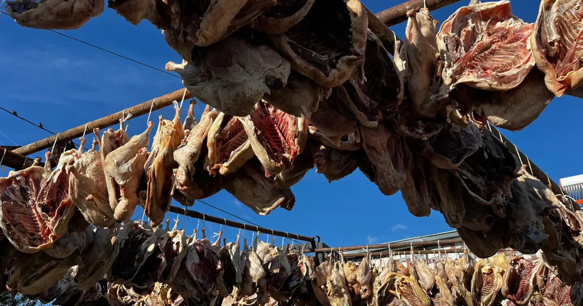 Önce tuzlanıyor, sonra kurutuluyor. Lezzeti sınırları aştı